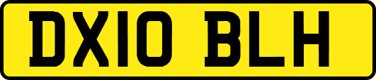 DX10BLH