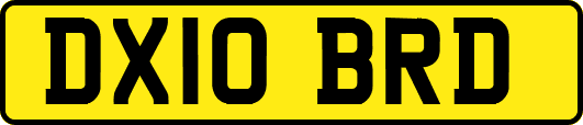DX10BRD