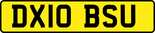 DX10BSU