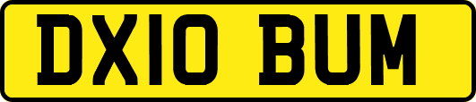 DX10BUM