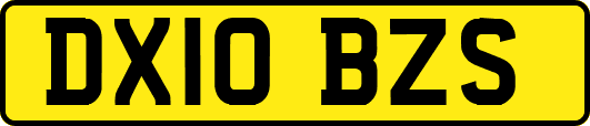 DX10BZS