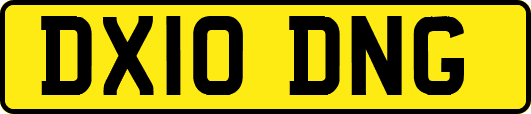 DX10DNG