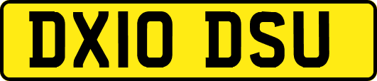 DX10DSU