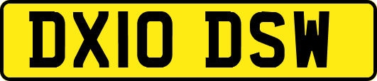 DX10DSW