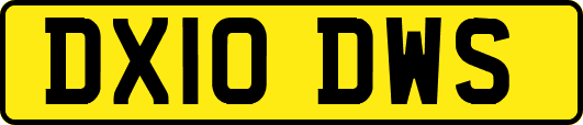 DX10DWS