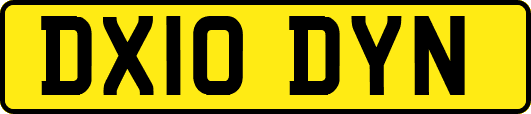DX10DYN