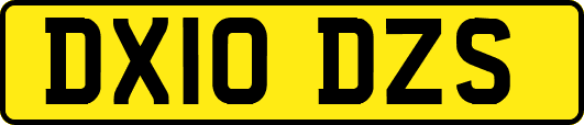 DX10DZS