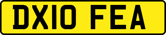 DX10FEA