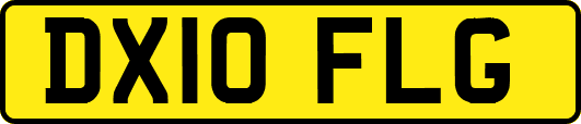 DX10FLG