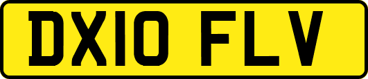 DX10FLV