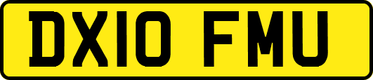 DX10FMU