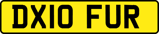 DX10FUR