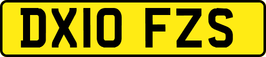 DX10FZS