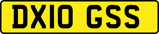 DX10GSS