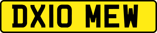 DX10MEW
