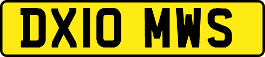 DX10MWS