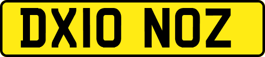 DX10NOZ