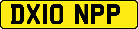 DX10NPP