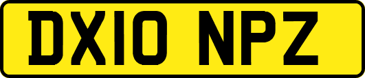 DX10NPZ