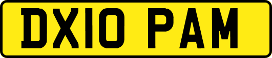 DX10PAM