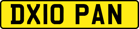 DX10PAN