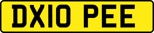 DX10PEE