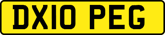 DX10PEG