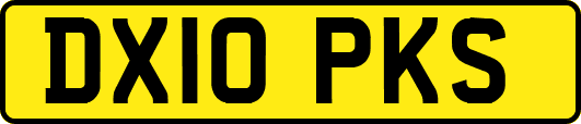 DX10PKS