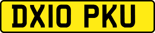 DX10PKU