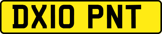 DX10PNT