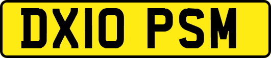 DX10PSM