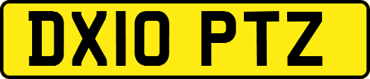 DX10PTZ