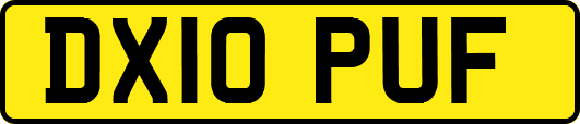 DX10PUF