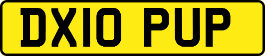 DX10PUP