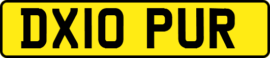 DX10PUR