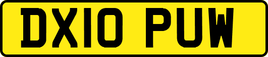 DX10PUW