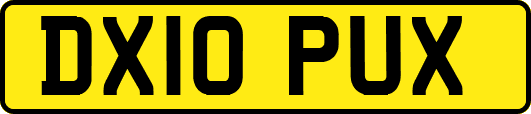 DX10PUX