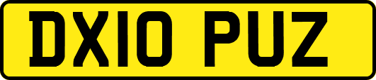 DX10PUZ
