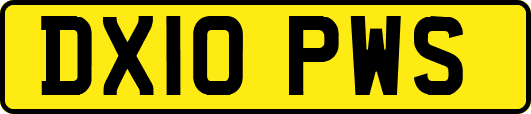 DX10PWS