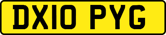 DX10PYG