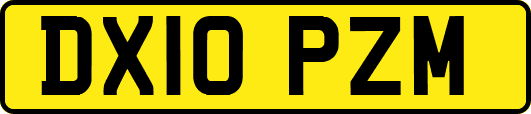 DX10PZM