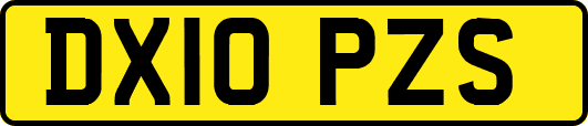 DX10PZS