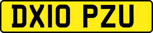 DX10PZU