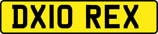 DX10REX