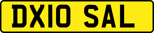 DX10SAL