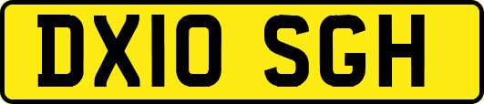 DX10SGH