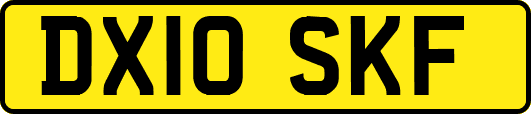 DX10SKF