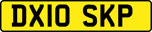 DX10SKP