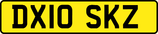 DX10SKZ