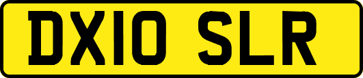 DX10SLR